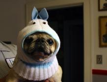 Pricilla's New Hat