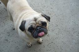 Could I be any cuter?