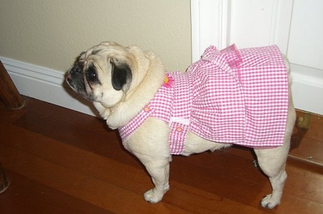 Adrian's Easter dress