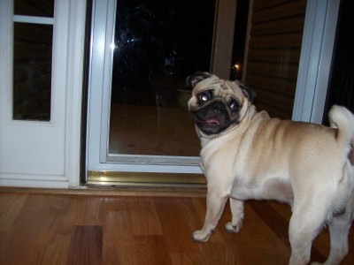 Waiting for Daddy