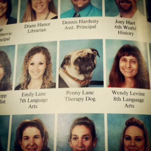 Therapy Pug in School Yearbook